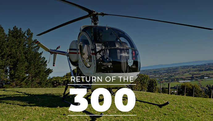 Return Of The 300